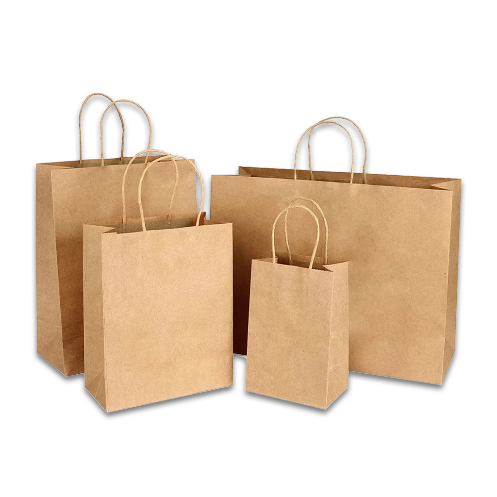 Kraft Paper Bag With Handle (Natural Kraft)